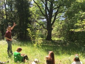 Balades botaniques contées de Beltane_plantes aromatiques médicinales_contes de la Nature_grenoble_isère_alpes