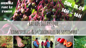 balade botanique - plantes sauvages comestibles & médicinales - Grenoble - l'île d'Amour - la fille aux herbes - septembre