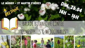 balade botanique_Gières_avril 2026_la fille aux herbes