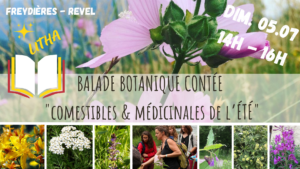 balade botanique_Freydières_juillet 2026_la fille aux herbes