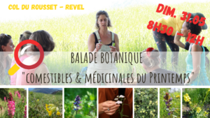 balade botanique_Revel_mai 2026_la fille aux herbes